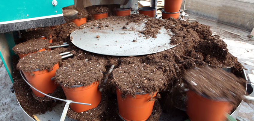Potting and container substrates